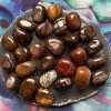 Bamboo Leaf Jasper, Tumbled