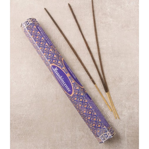 Bâtonnets d'encens de l'encens, 20 gr Bâtonnets d'encens de l'encens, 20 gr