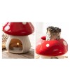Champignon Palo Santo / Porte-sauge
