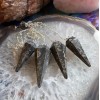 Black Coral Fossil Pendulum Black Coral Fossil Pendulum