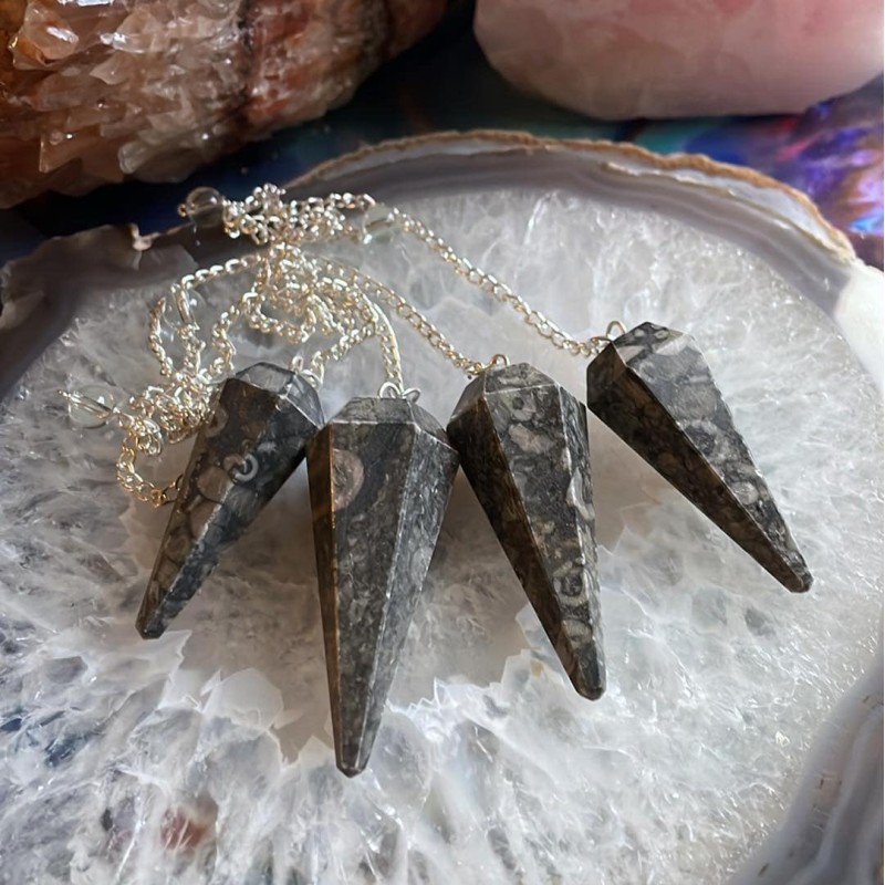Black Coral Fossil Pendulum Black Coral Fossil Pendulum