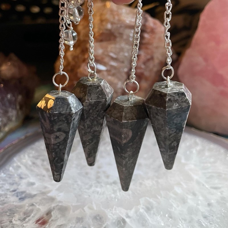 Black Coral Fossil Pendulum Black Coral Fossil Pendulum