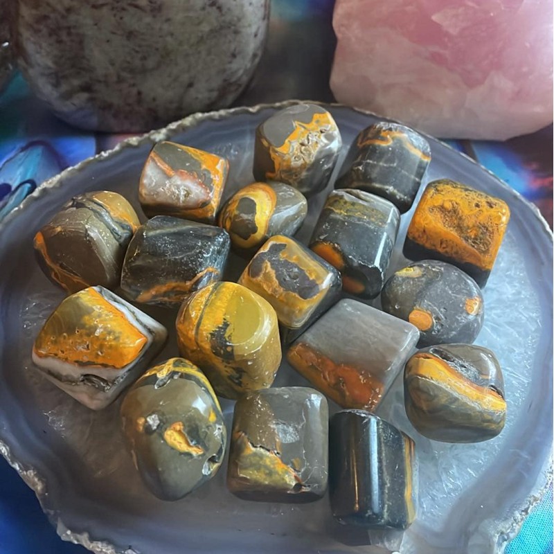 Bourdon Jasper, culbuté Bourdon Jasper, culbuté