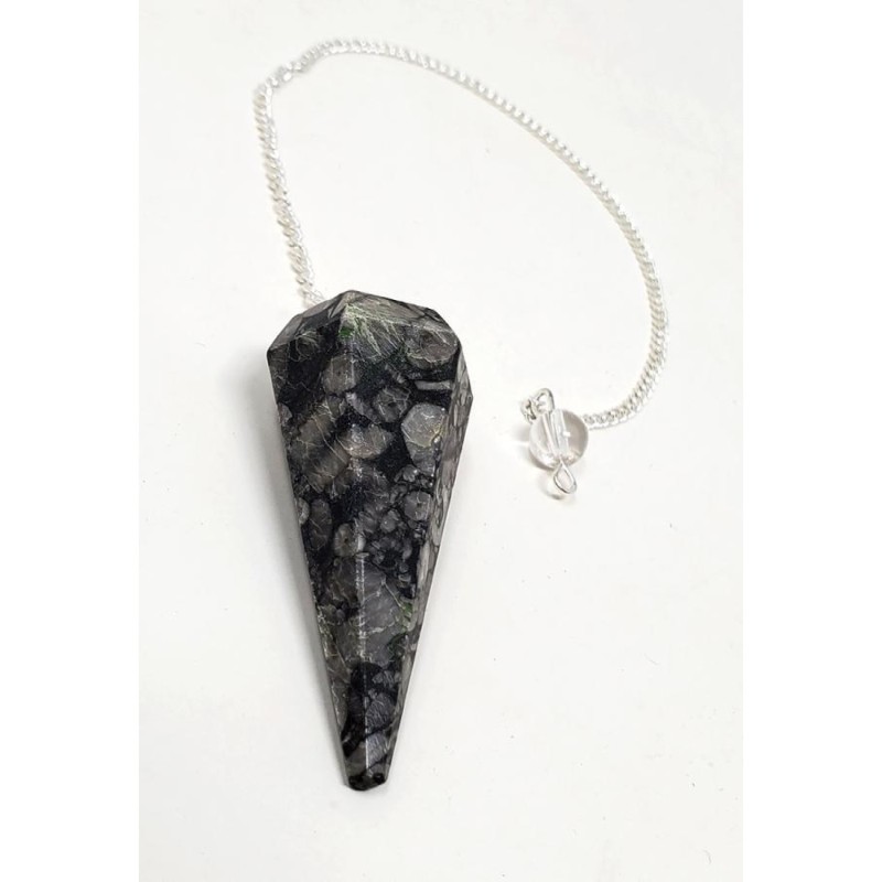 Black Coral Fossil Pendulum Black Coral Fossil Pendulum