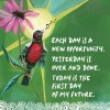 Les affirmations de Louise Hay pour le pardon - Louise Hay Les affirmations de Louise Hay pour le pardon - Louise Hay