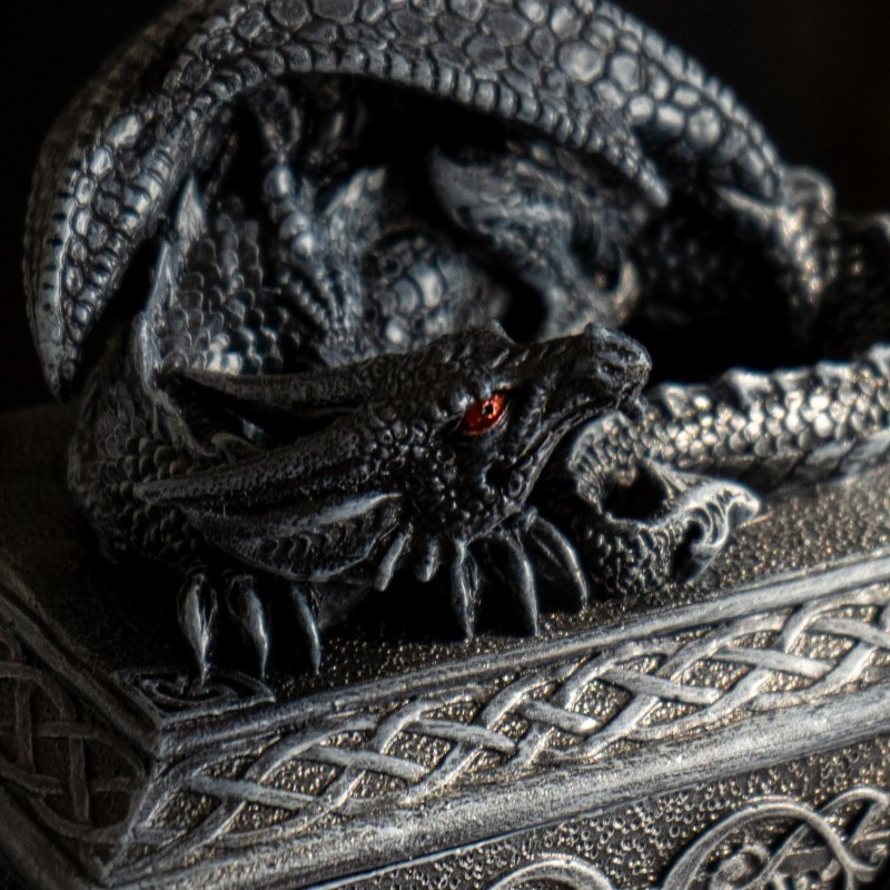 Boîte Dragon Gothique Celtique Boîte Dragon Gothique Celtique
