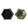 Dragon Friendship Box - Summer