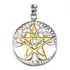 Tree Pentacle Pendant, Silver & Gold