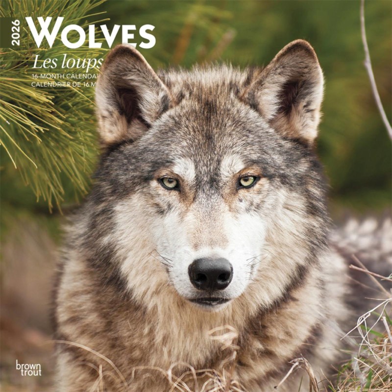 Calendrier Loup 2026