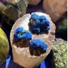 Spécimen d’azurite