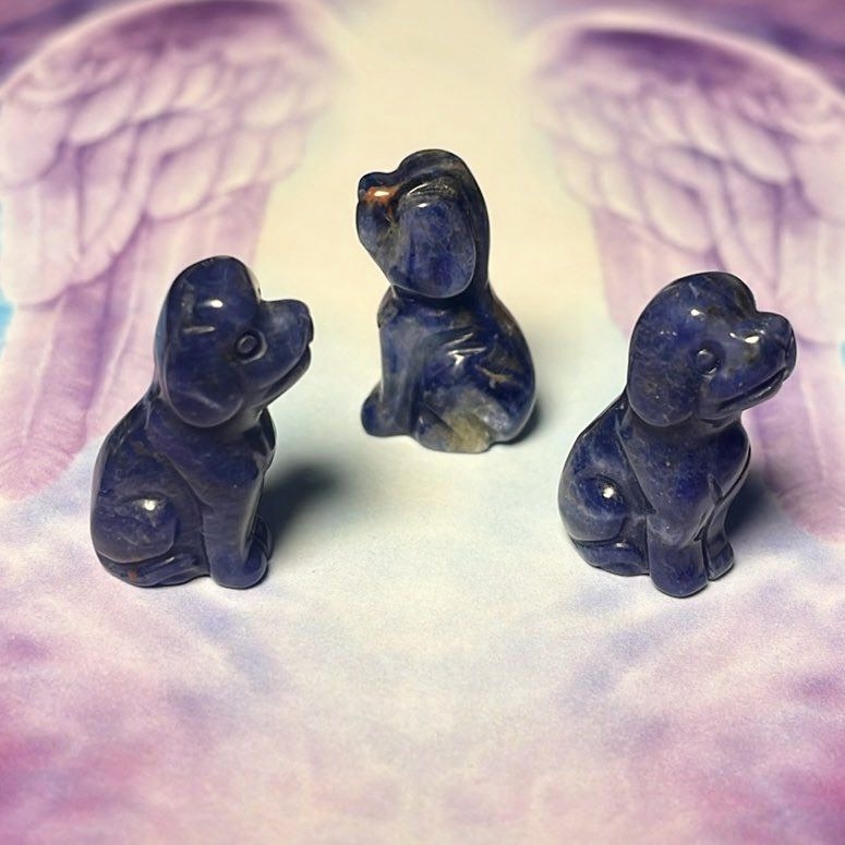 Mini Gem Animal - Chien, Sodalite