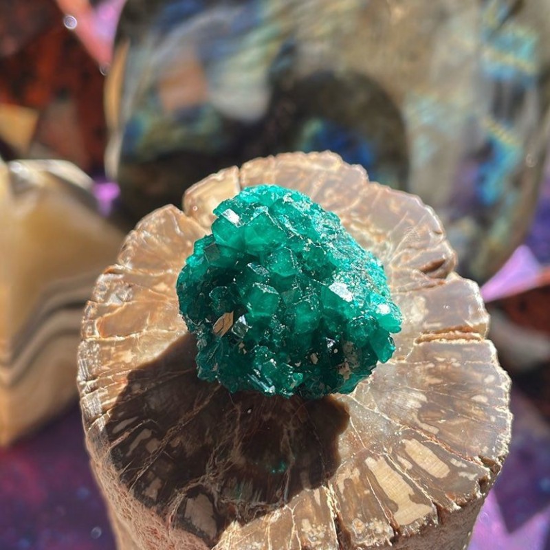 Spécimen de dioptase - Spécial, Rare Spécimen de dioptase - Spécial, Rare