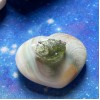 Moldavite Specimen E ~ Spiritual Transformation Moldavite Specimen E ~ Spiritual Transformation