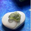 Moldavite Specimen F ~ Spiritual Transformation