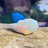 Ethiopian Opal Specimen F