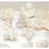 Spécimen d’amas d’aragonite blanche Spécimen d’amas d’aragonite blanche