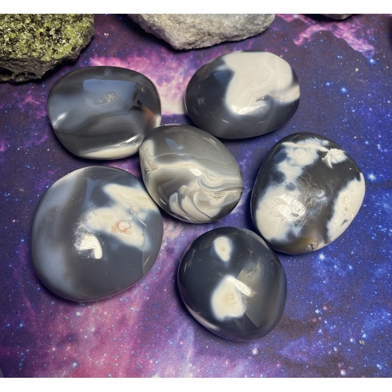 Pierre de palmier en agate orque Pierre de palmier en agate orque