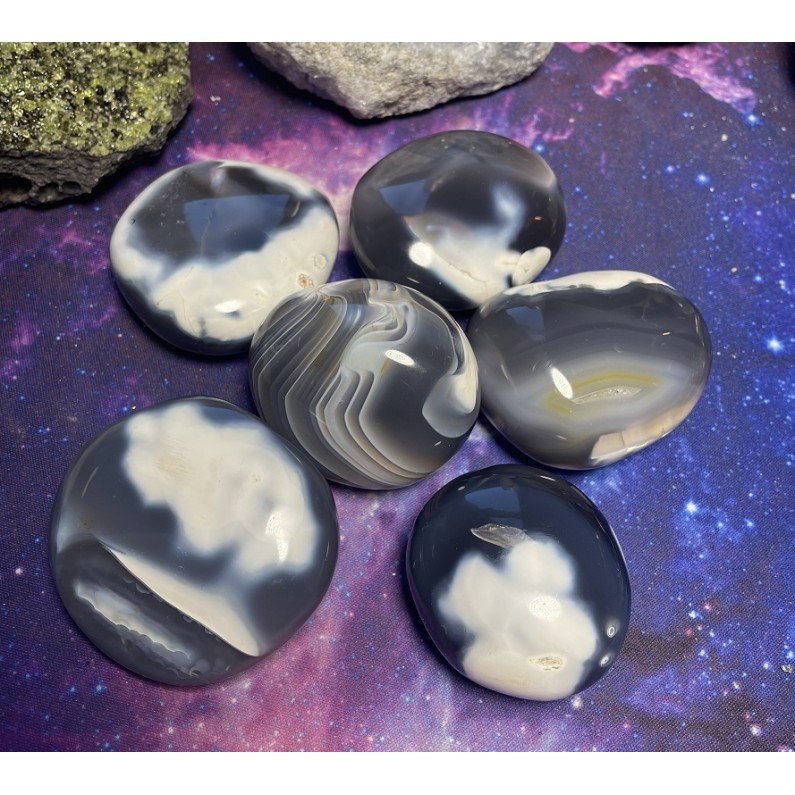 Pierre de palmier en agate orque Pierre de palmier en agate orque