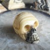 Crâne de zèbre en onyx noir et calcite jaune A