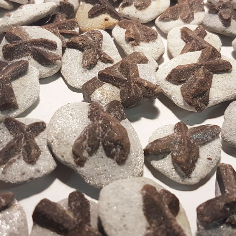 Spécimen de staurolite Spécimen de staurolite