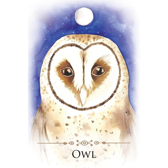Spirit Animal Message Cards - Steven Farmer Spirit Animal Message Cards - Steven Farmer