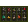 Deck d’oracle de la Terre de la Sorcière de la Forêt - Lindsay Squire Deck d’oracle de la Terre de la Sorcière de la Forêt - Lindsay Squire
