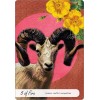 Wise Earth Medicine Tarot - Lalania Simone Wise Earth Medicine Tarot - Lalania Simone