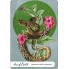 Wise Earth Medicine Tarot - Lalania Simone Wise Earth Medicine Tarot - Lalania Simone