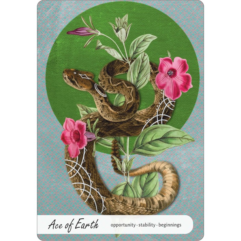 Wise Earth Medicine Tarot - Lalania Simone Wise Earth Medicine Tarot - Lalania Simone