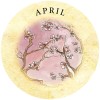 Tea Leaf Fortune Telling Cards - S Alexander Tea Leaf Fortune Telling Cards - S Alexander