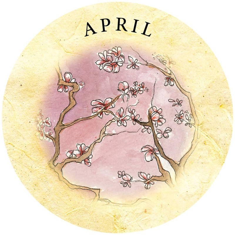 Tea Leaf Fortune Telling Cards - S Alexander Tea Leaf Fortune Telling Cards - S Alexander