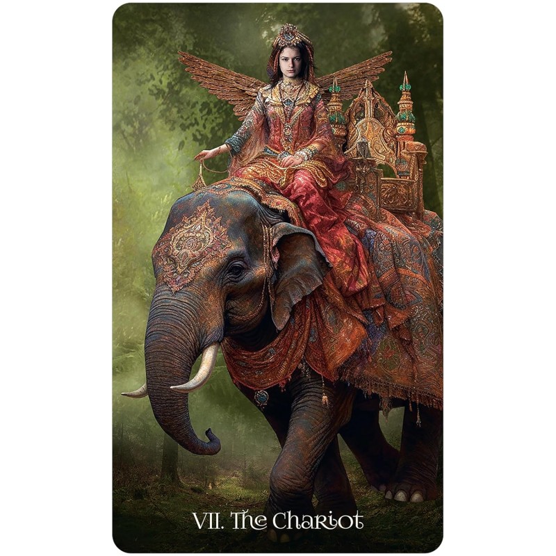 When Women Had Wings Tarot Deck - Jena DellaGrottaglia When Women Had Wings Tarot Deck - Jena DellaGrottaglia