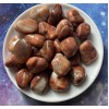 Sardonyx rouge, Roulé (lg) Sardonyx rouge, Roulé (lg)