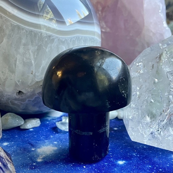 Sculpture de champignons - Tourmaline noire Sculpture de champignons - Tourmaline noire