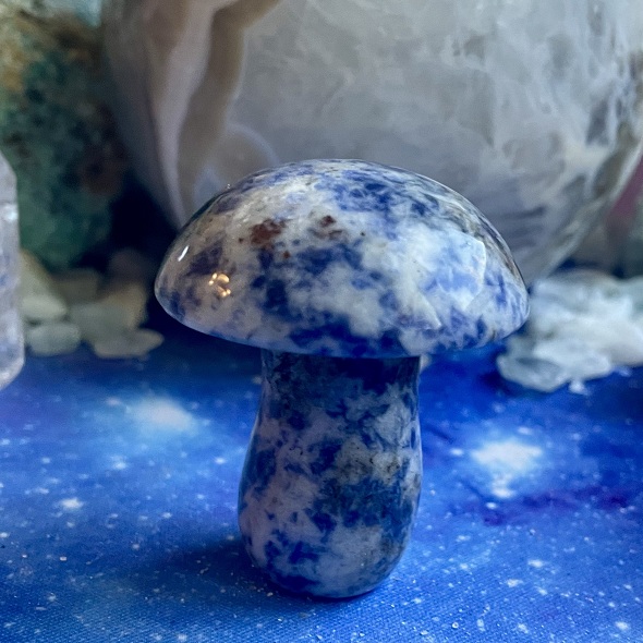 Sculpture de champignons - Sodalite Sculpture de champignons - Sodalite