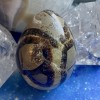 Oeuf de Gem septarian ~ voyage spirituel, Transformation, sagesse ancestrale Oeuf de Gem septarian ~ voyage spirituel, Transformation, sagesse ancestrale