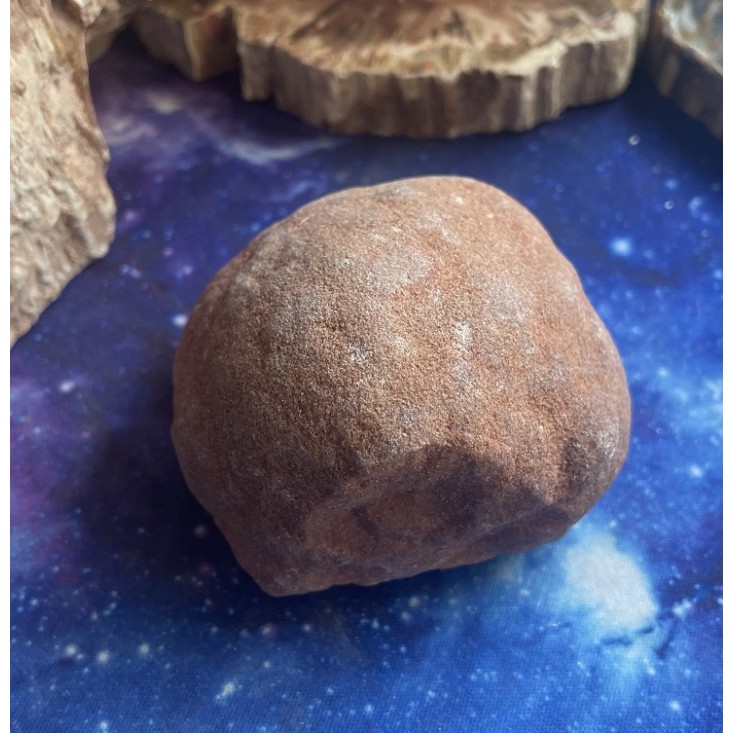 Spécimen de stromatolite Spécimen de stromatolite