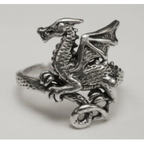 Magickal Dragon Ring Magickal Dragon Ring