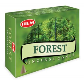 Cônes de forêt Auroshikha Cônes de forêt Auroshikha