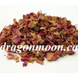 Pink Rose Petals Pink Rose Petals