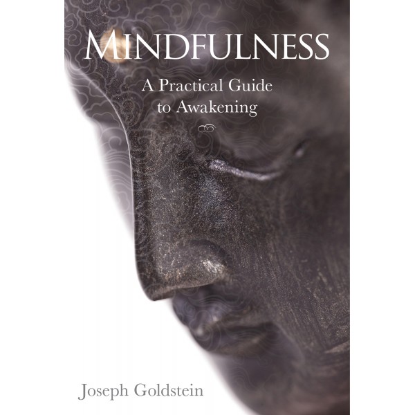 Mindfulness - Joseph Goldstein