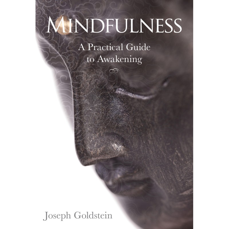 Mindfulness - Joseph Goldstein Mindfulness - Joseph Goldstein