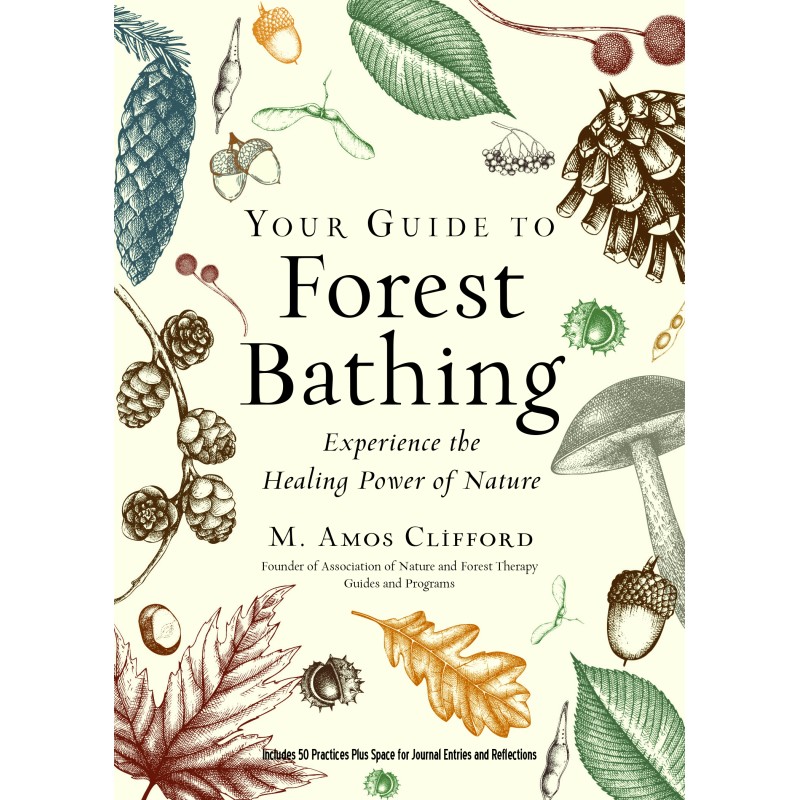 Your Guide to Forest Bathing - M. Amos Clifford Your Guide to Forest Bathing - M. Amos Clifford