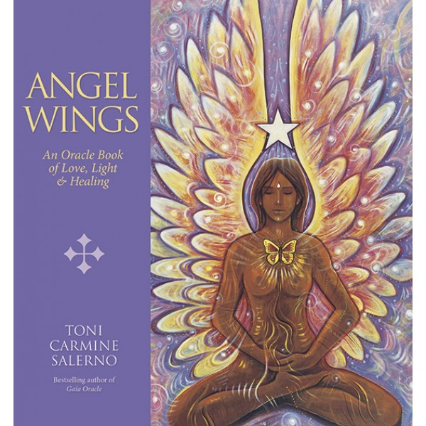 Angel Wings (hc) - Toni Carmine Salerno