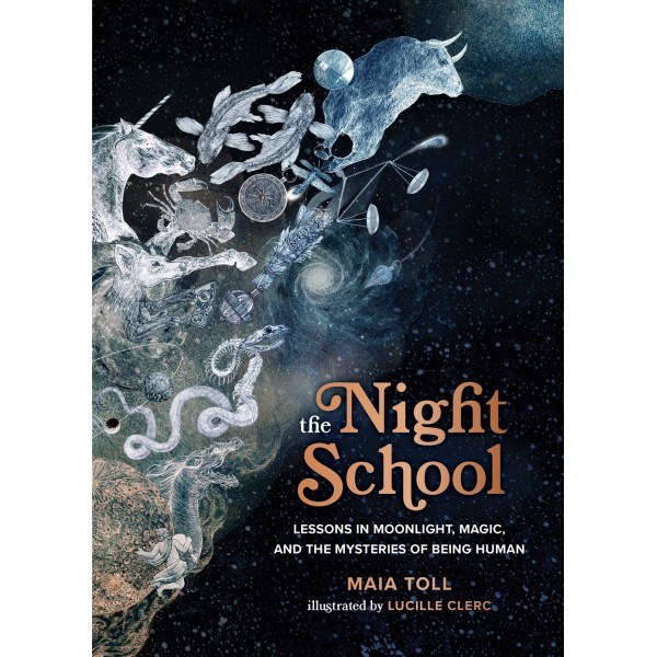 Night School - Maia Toll
