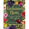 Plantes enchantées - Varla A. Ventura