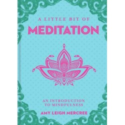 Little Bit of Meditation  - Amy Leigh Mercree