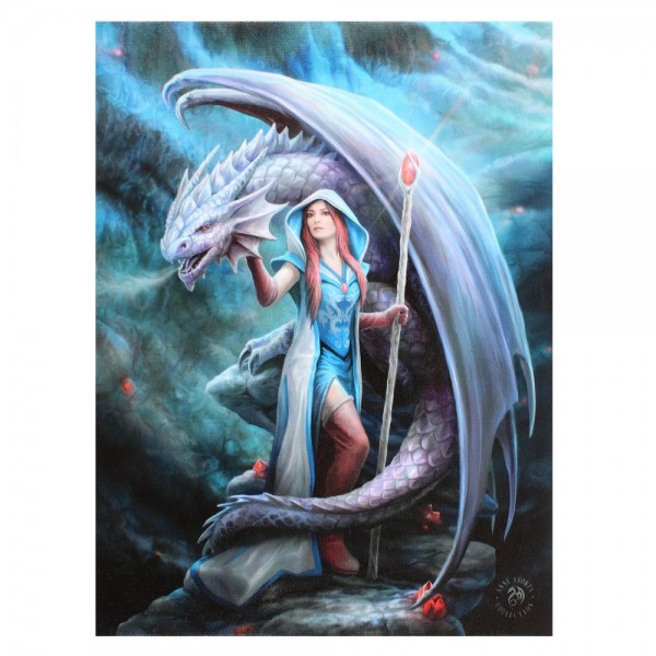 Dragon Mage Canvas Print