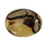 Pierre Palm septarian